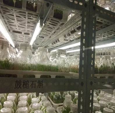 微信图片_20190810213744